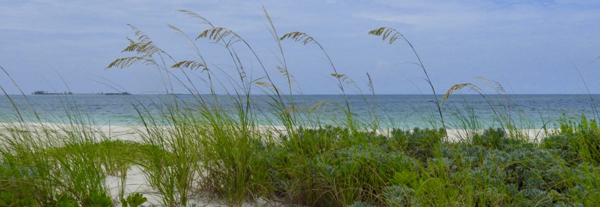 Islandia Grabo's Blog